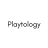 Solopreneur vs Socialpreneur – Playtology Avatar